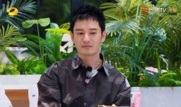 中餐厅宁静爆料视频,独家爆料幕后故事